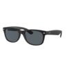 RayBan