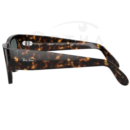 RayBan