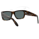 RayBan