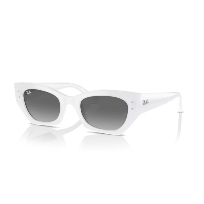 RayBan