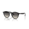 RayBan