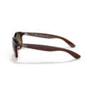 RayBan