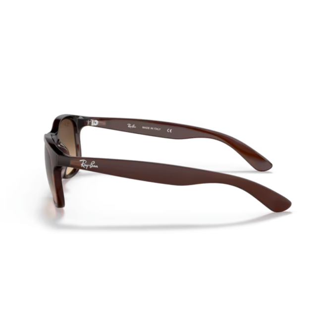 RayBan