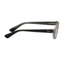 RayBan