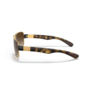RayBan
