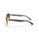RayBan