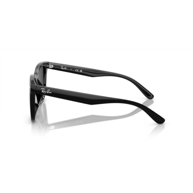 RayBan