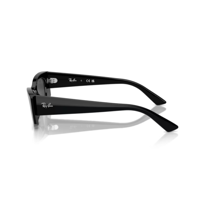 RayBan