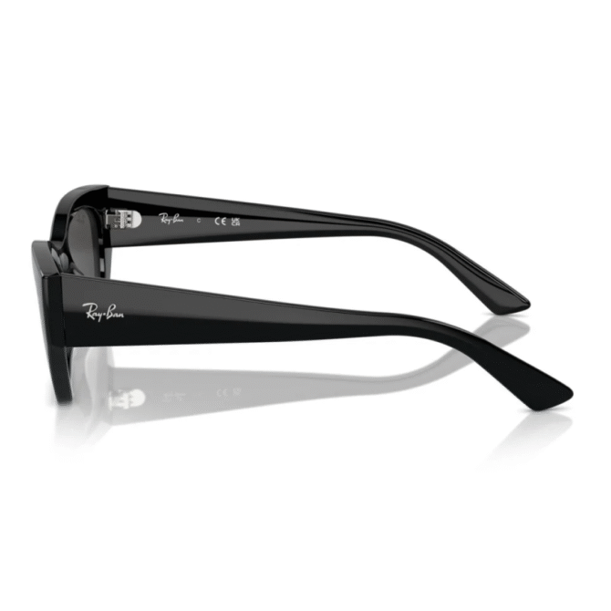 RayBan