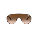 RayBan