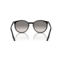 RayBan