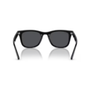 RayBan