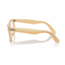 RayBan