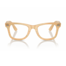 RayBan