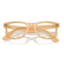 RayBan