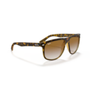 RayBan