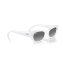RayBan