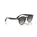 RayBan