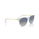 RayBan