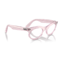 RayBan