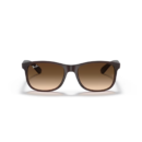 RayBan