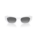 RayBan