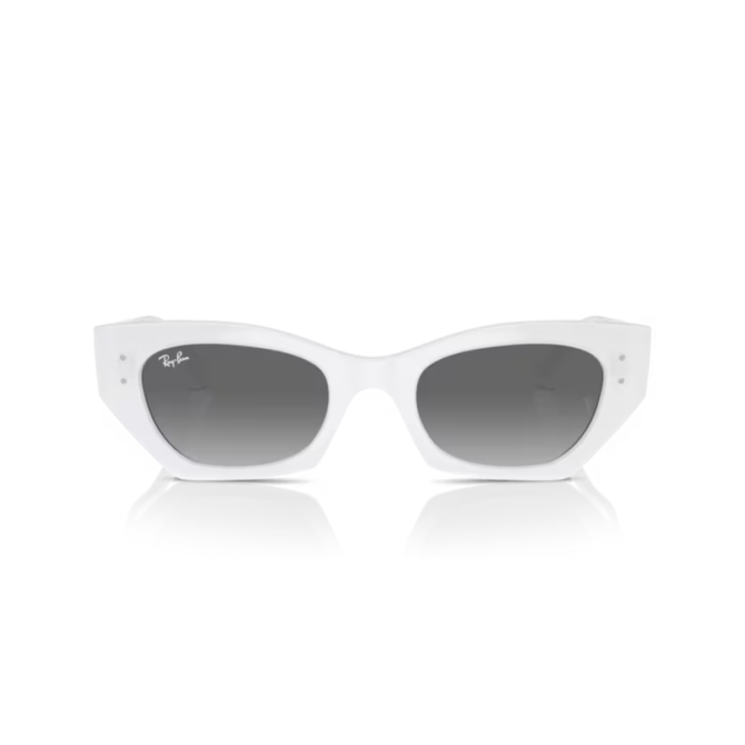 RayBan