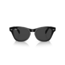 RayBan
