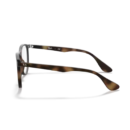 RayBan