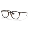 RayBan