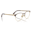 RayBan