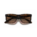 RayBan