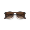 RayBan