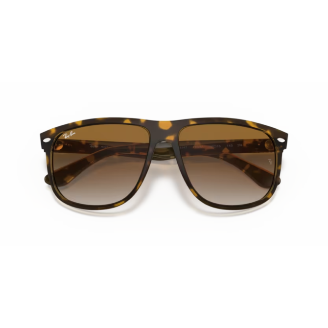 RayBan