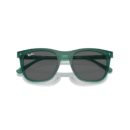 RayBan