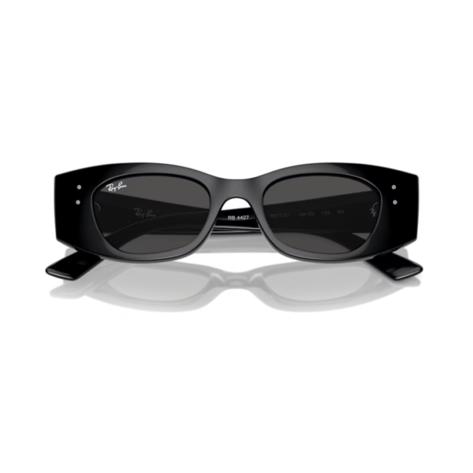 RayBan