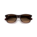RayBan