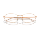 RayBan