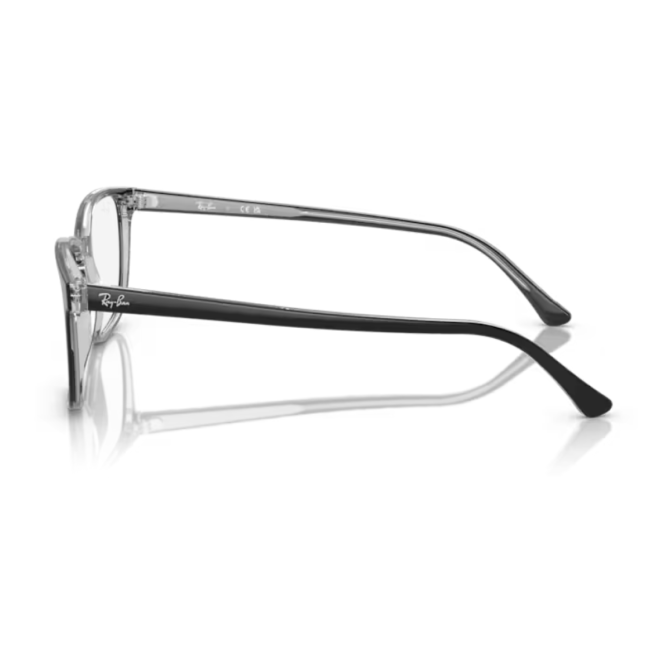 RayBan