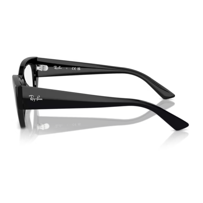 RayBan