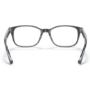 RayBan