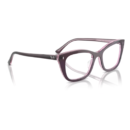 RayBan