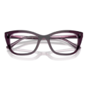 RayBan