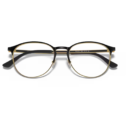 RayBan