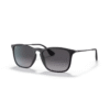 RayBan
