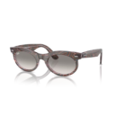 RayBan
