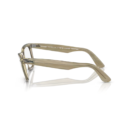 RayBan