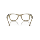 RayBan
