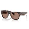 RayBan