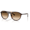 RayBan
